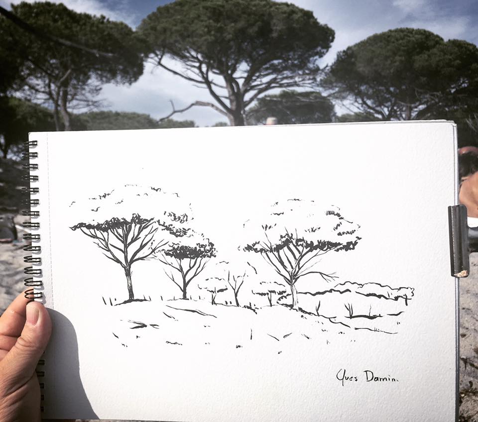 croquis_corse