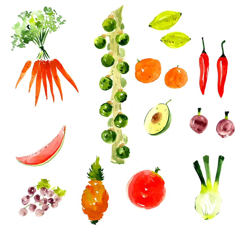 illustration culinaire gastronomie